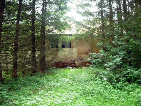 Foto 69